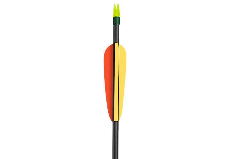 CARBON-PFEIL