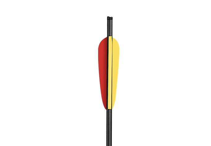 Carbon-Bolt-3
