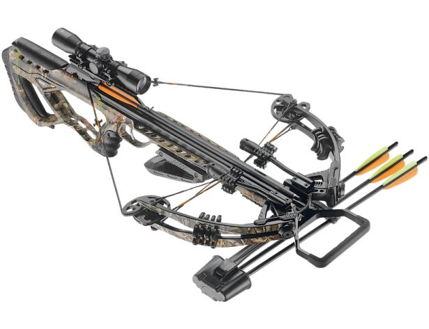 アガベ　ギロチン　guillotine Guillotine Tower Apparatus