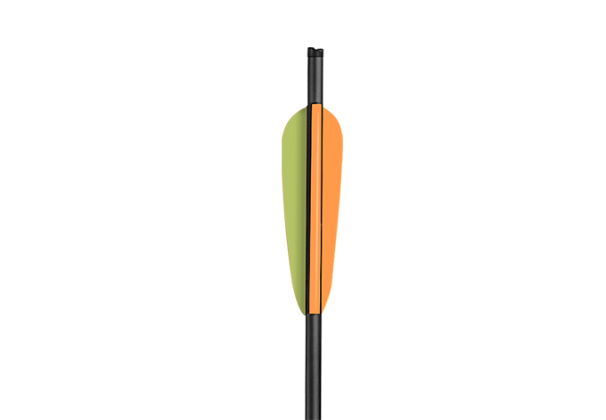 Carbon-Bolt-2