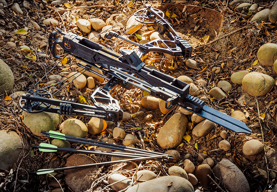 ALL_news_26B06_NOONJiMyAW