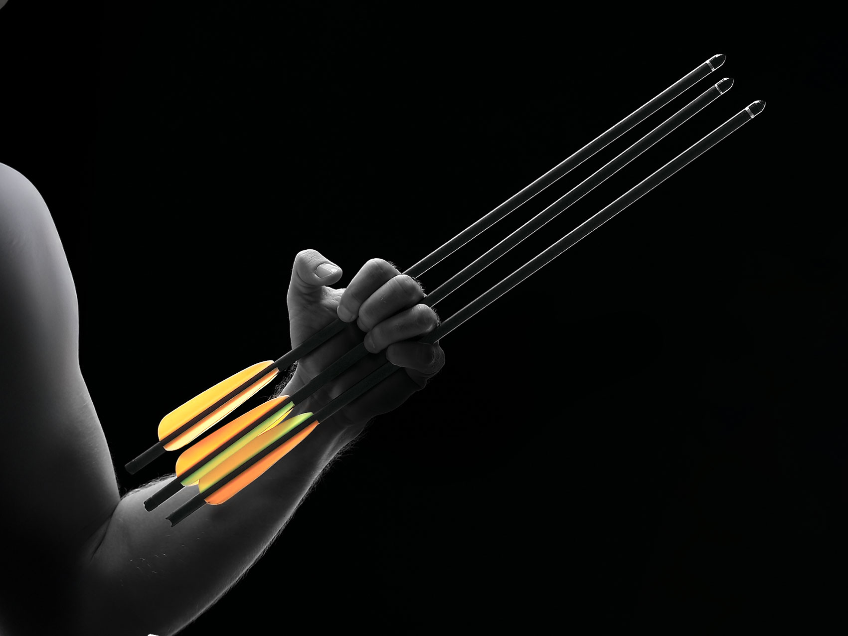 How to Select Crossbow Bolts: An Expert's Guide