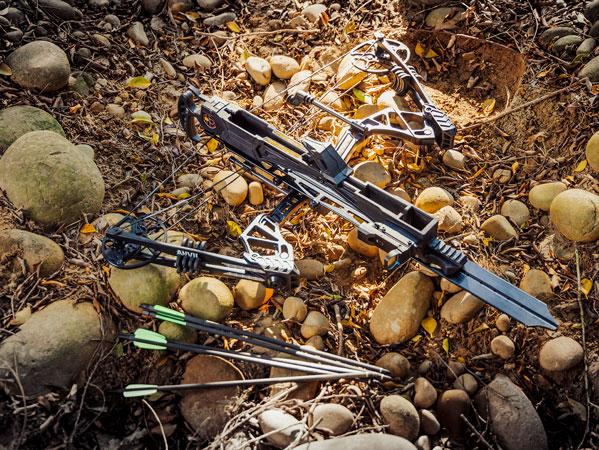 Der 6-Schuss Repetier Compoundbogen: WHIPSHOT