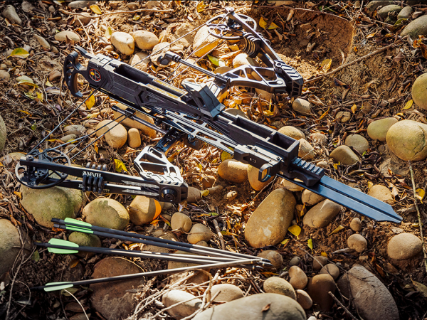 How to choose the right compound bow for female archers?
